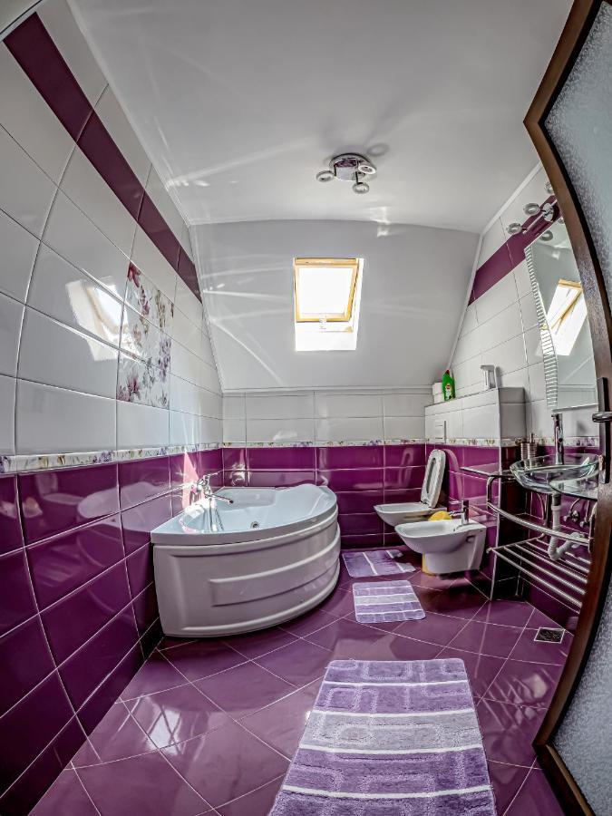 Casa Iulia Villa Pojorita Ngoại thất bức ảnh